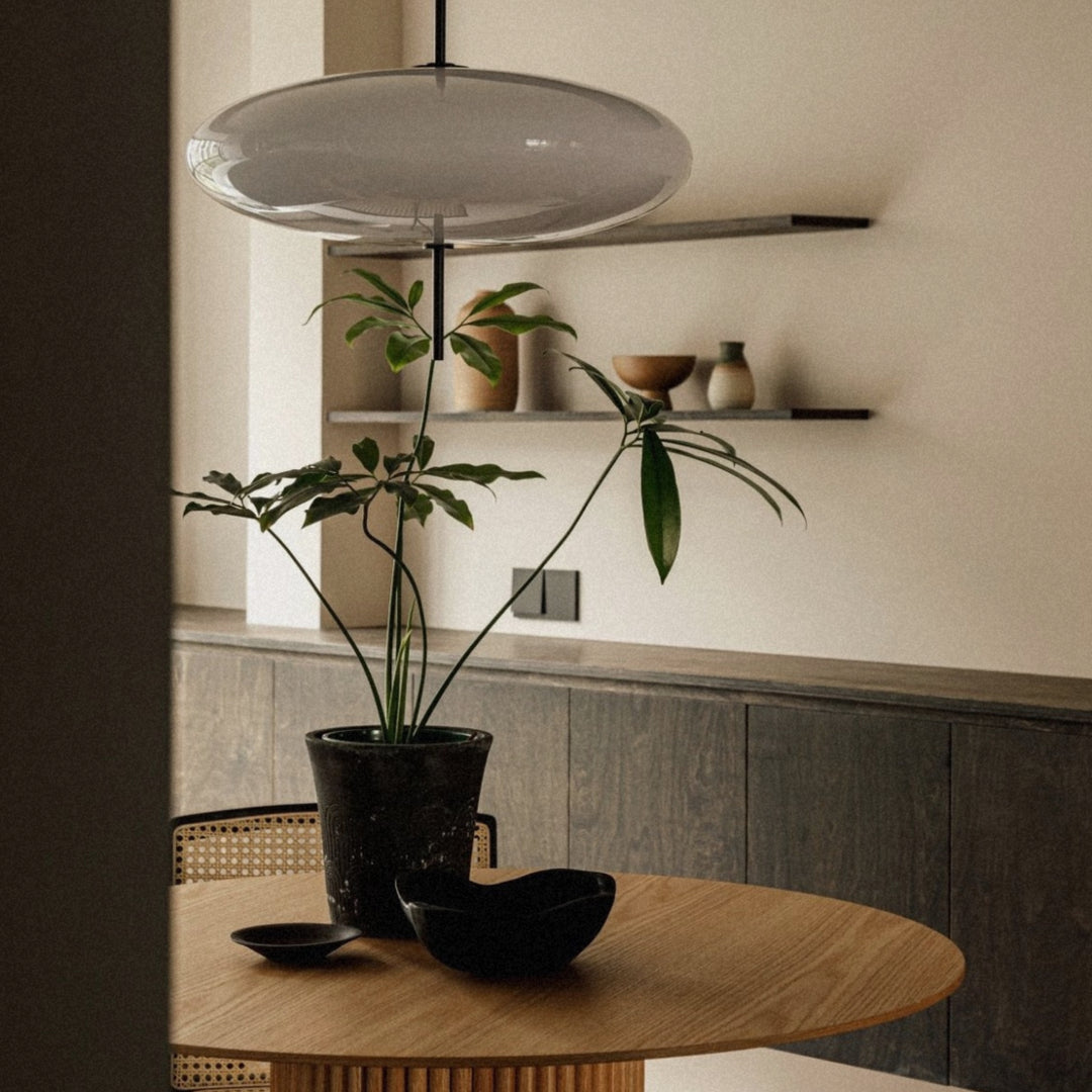 modern pendant light casting soft light above a table with plants.
